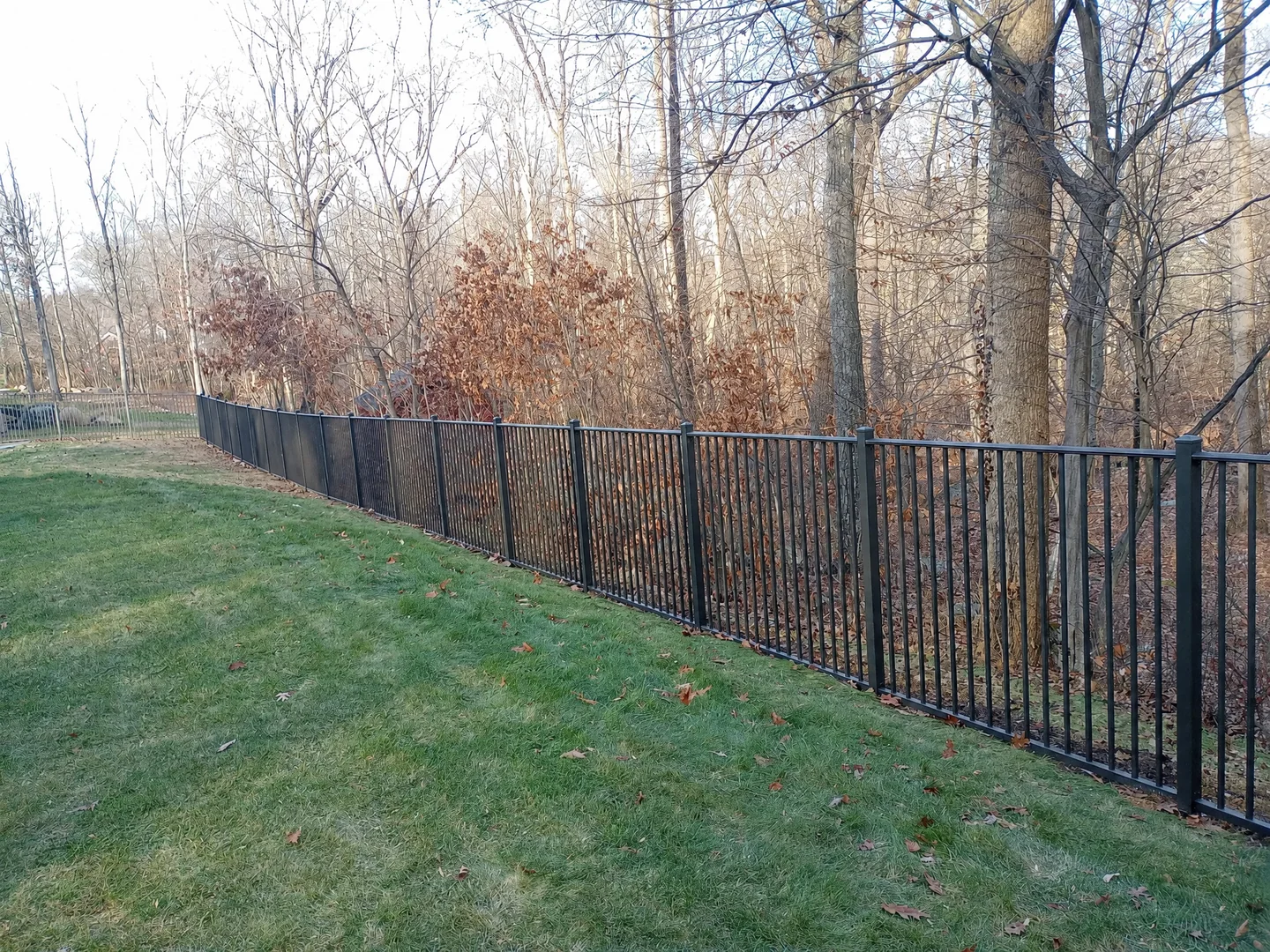 Black ornamental aluminum fence following a landscaped residential backyard property line